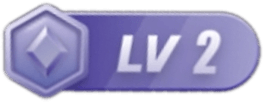 LV2 等级-LV2-星空网络