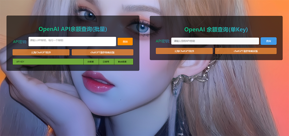 ChatGPT在线查询余额小工具源码-星空网络