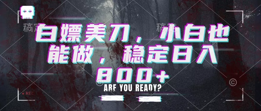 白嫖美刀，小白也能做，稳定日入800+-星空网络