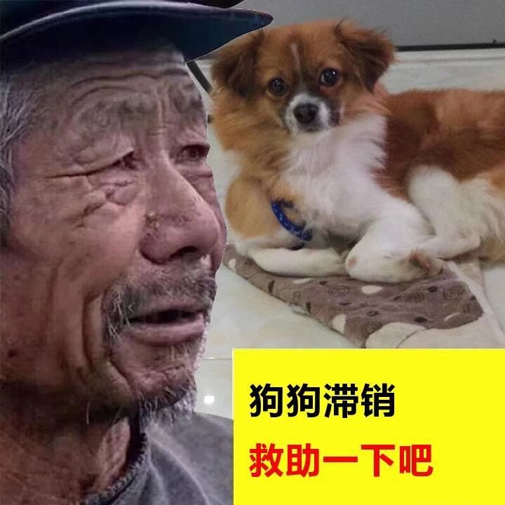 恶搞网红大爷货物滞销生成图片-星空网络