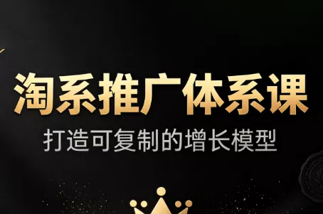 大山·淘系推广体系课-星空网络