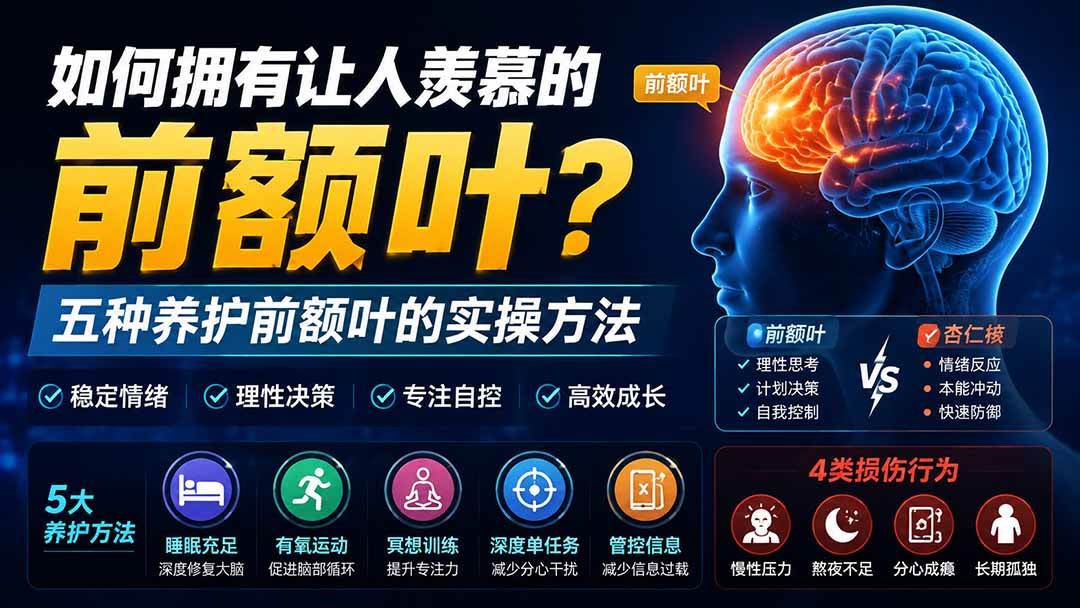 （19805期）付费文章：如何拥有让人羡慕的前额叶？五种养护前额叶的实操方法-星空网络