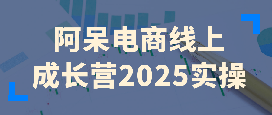 阿呆电商线上成长营2025实操-星空网络