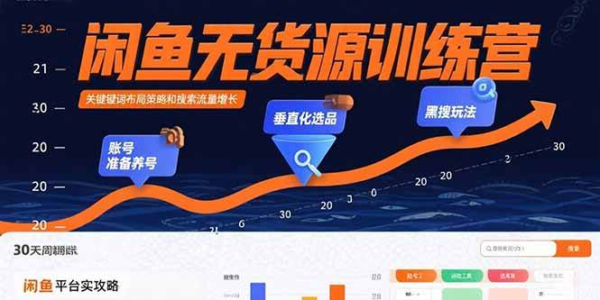 （15698期）闲鱼无货源训练营：账号准备养号/垂直化选品/黑搜玩法，0基础30天盈利指南-星空网络
