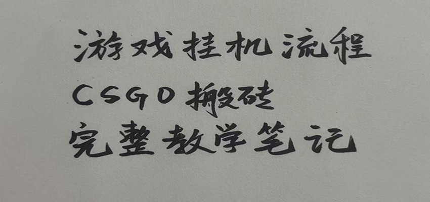 游戏挂机全流程笔记分享，CSGO游戏搬砖，小白看了当天学会见收益-星空网络