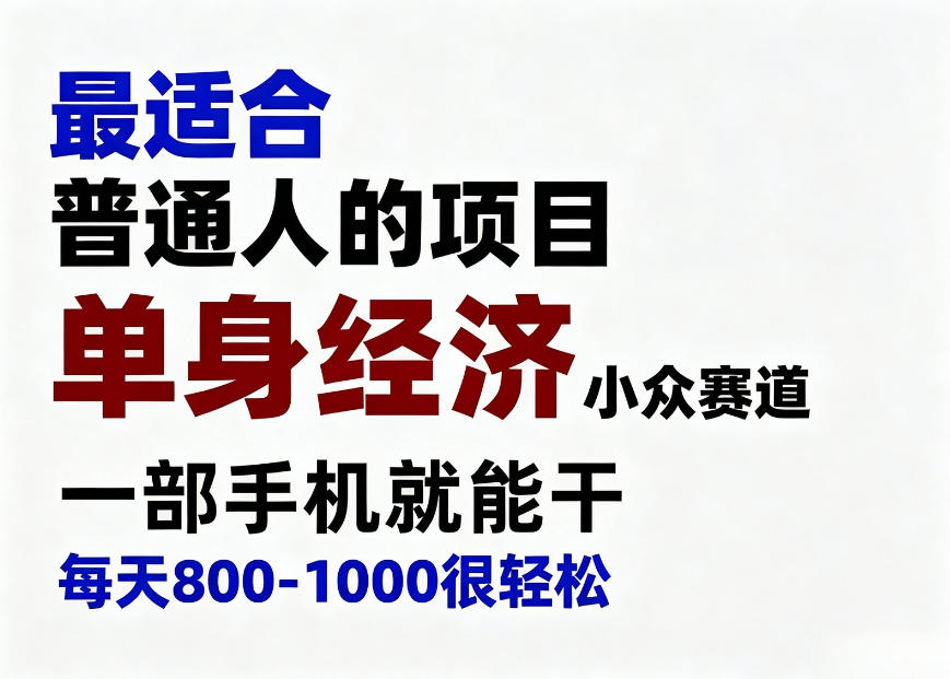身经济小众赛道，一部手机就能干，每天搞个800-1000很轻松，最适合普通人的项目【揭秘】-星空网络