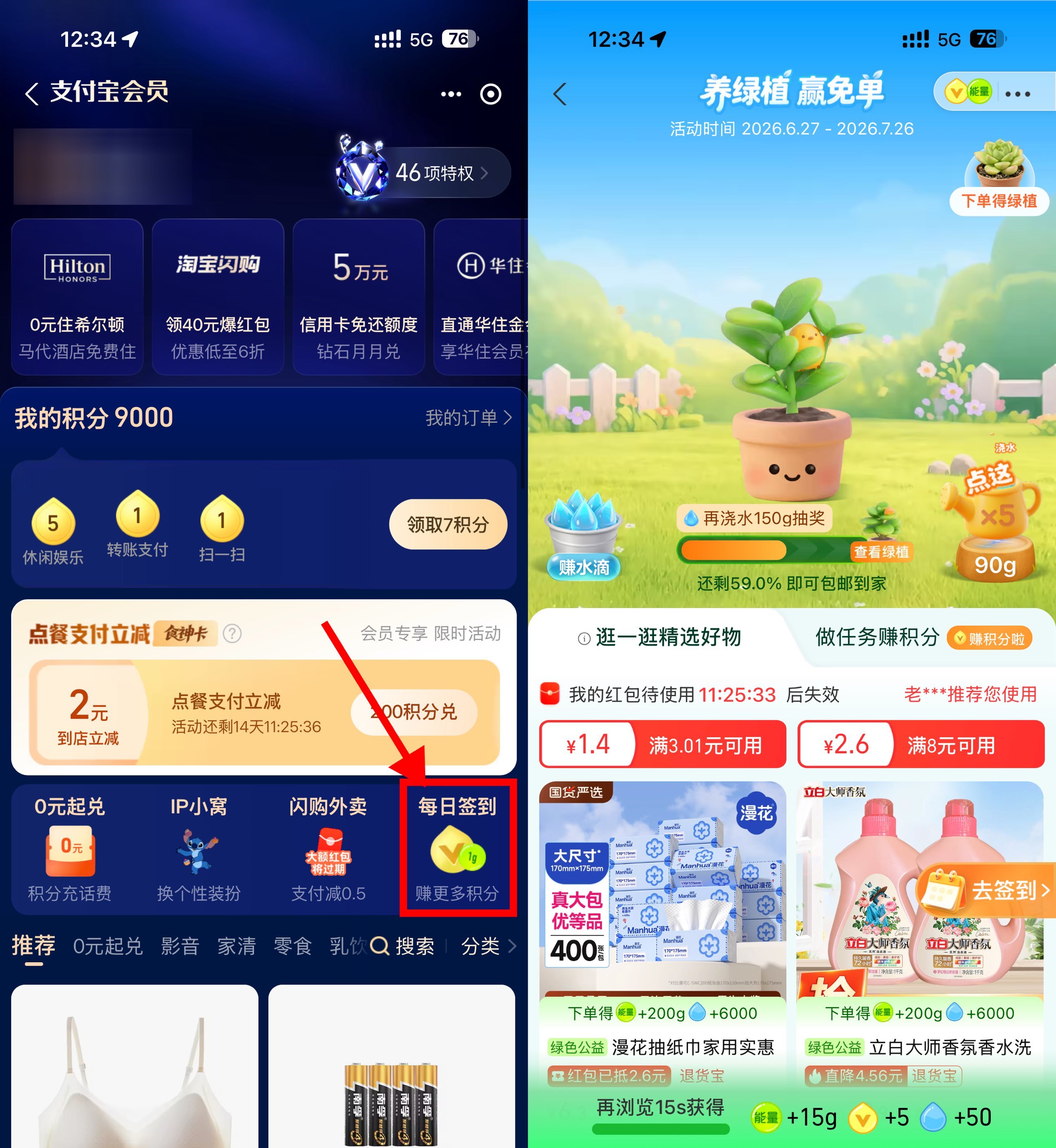 支付宝养绿植领实物绿植免单-星空网络