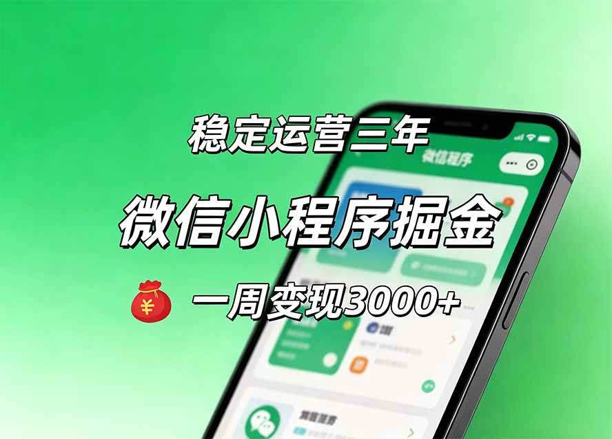 （20077期）月收益稳定1W+的微信小程序，前期积累客户，后期躺平养老，小白轻松上手-星空网络