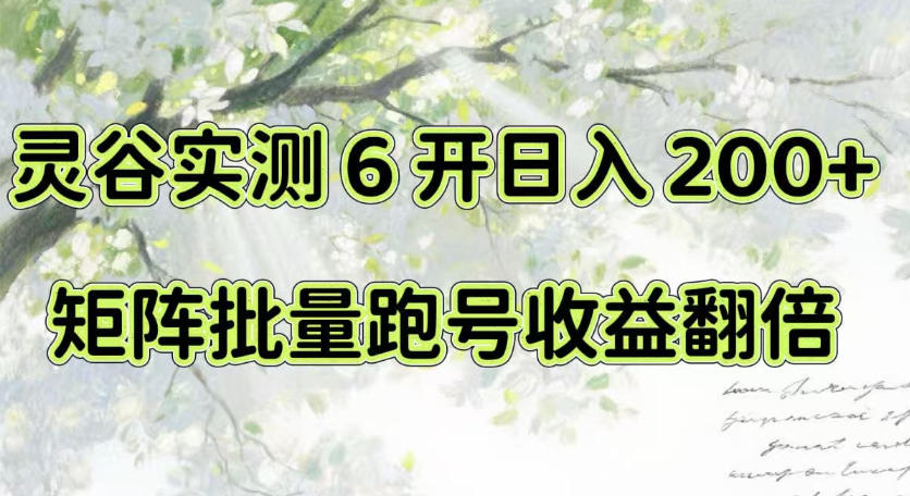 一台电脑就能做！灵谷实测6开日入200+，矩阵批量跑号收益翻倍【揭秘】-星空网络