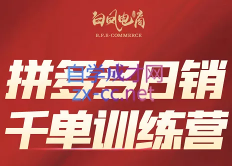 白凤电商·拼多多日销千单训练营(更新8月)-星空网络