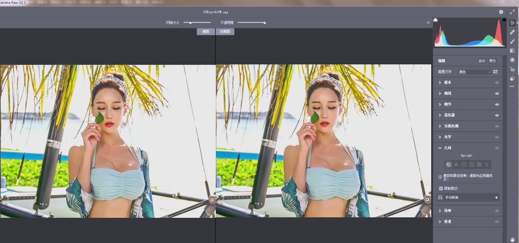 RAW处理Adobe Camera Raw v18.5.0中文版-星空网络