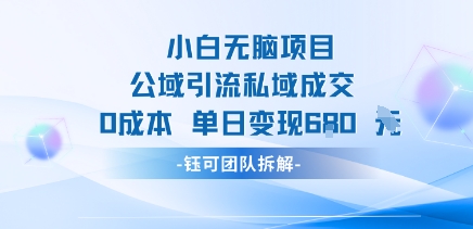 小白无脑项目公域引流私域成交0成本单日变现680米-星空网络
