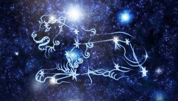 狮子座在职场中如何展现领导力？-星空网络