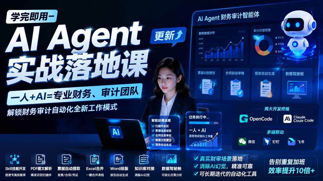 （19740期）学完即用—AI Agent实战落地课-更新：一人+AI=专业财务、审计团队，解锁财务审计自动化全新工作模式-星空网络