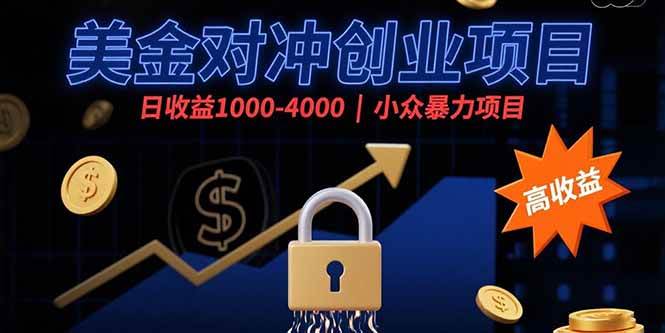 （15642期）美金对冲创业项目，日收益1000-4000，小众暴力项目-星空网络