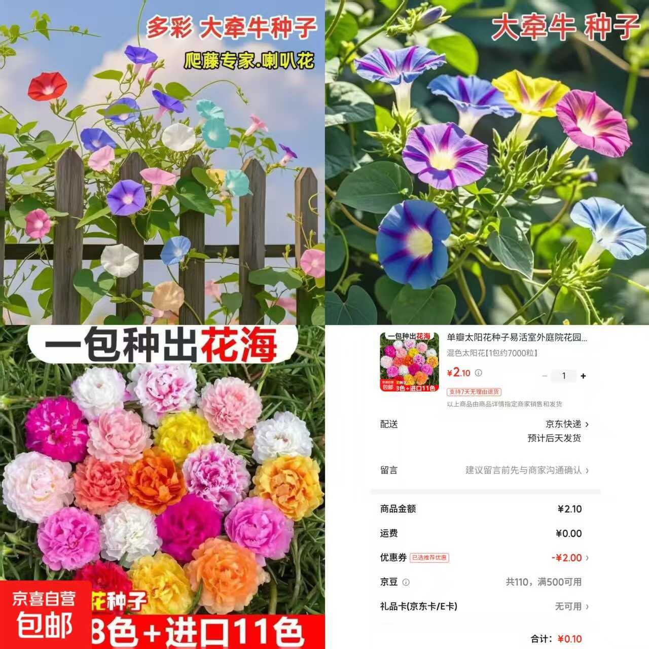 京东0.1太阳花种子约7000粒-星空网络