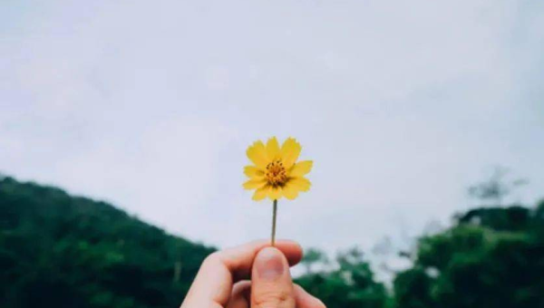天秤座的人在感情中专情吗？-星空网络