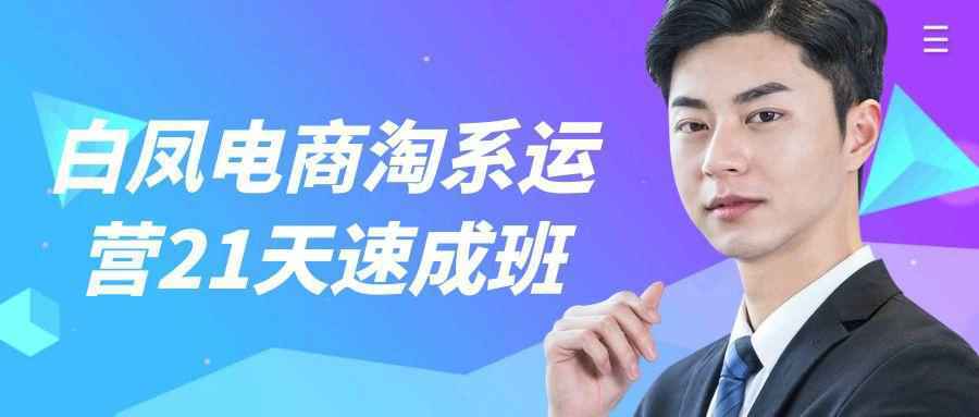 白凤电商淘系运营21天速成班-星空网络