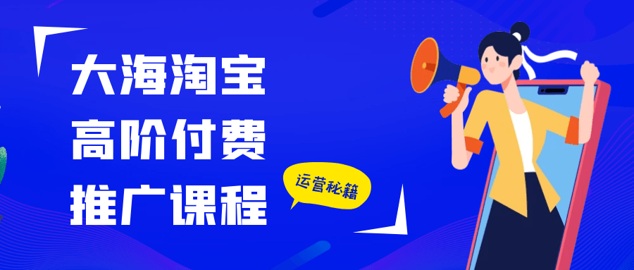 大海淘宝高阶付费推广课程-星空网络