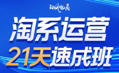 白凤电商·淘系运营21天速成班(更新7月)-星空网络