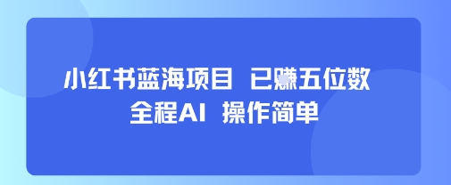 小红书蓝海项目，全程AI，操作简单，已挣五位数-星空网络