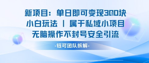 新项目单日即可变现3张的小白玩法无脑操作不封号安全引流-星空网络